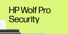 HP DesignJet XL 3800 T950 T850 Cyber Security